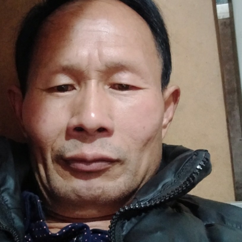 香菇凝眸疯狂的照片