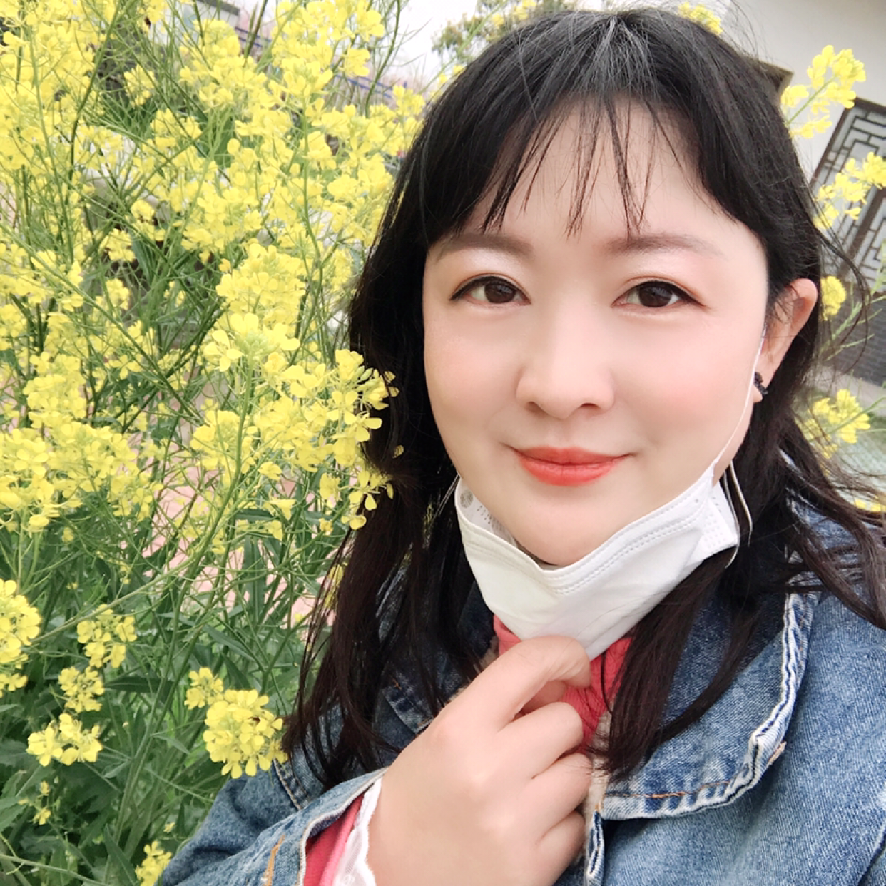 彩虹的照片