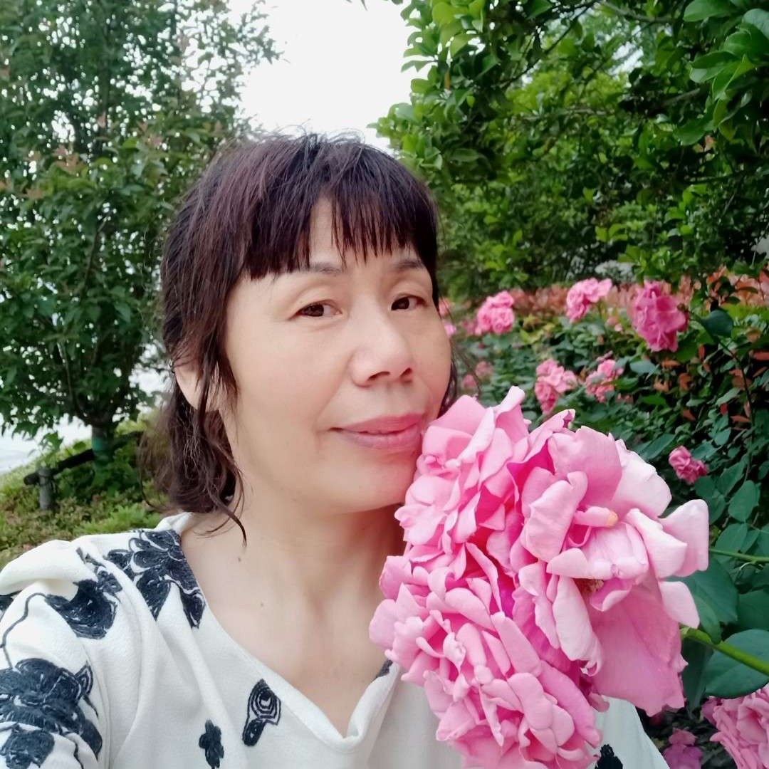荆棘丛林的鱼的照片