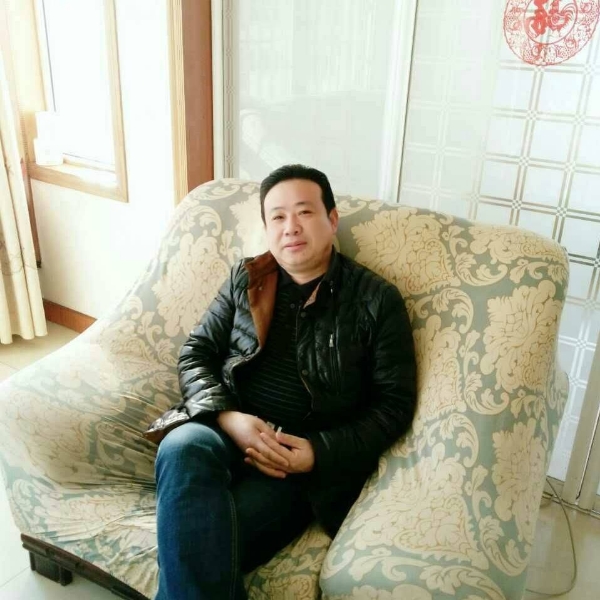 猫咪演变淡淡的照片
