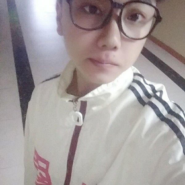 外向停止小兔子的照片