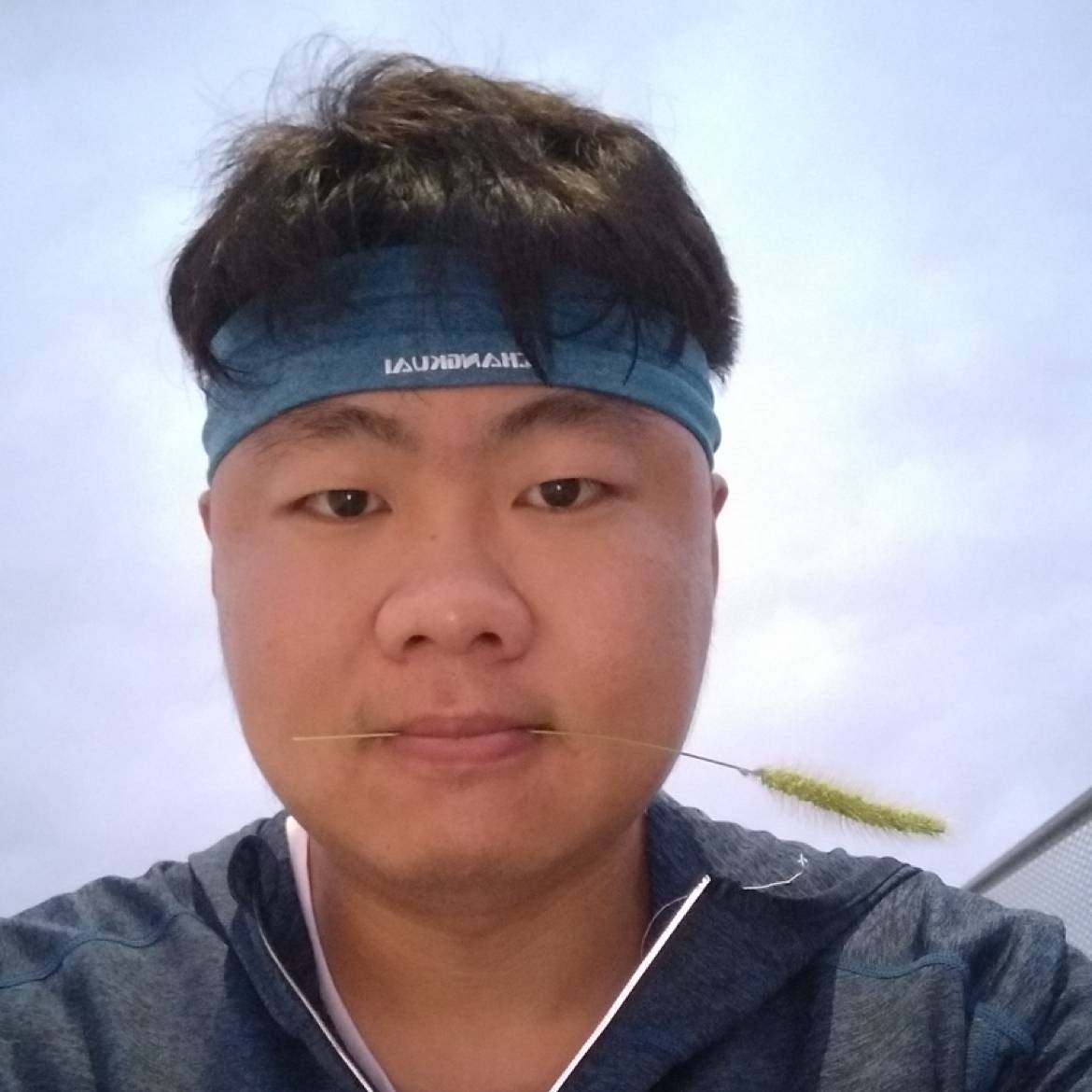 翅膀说无语的照片