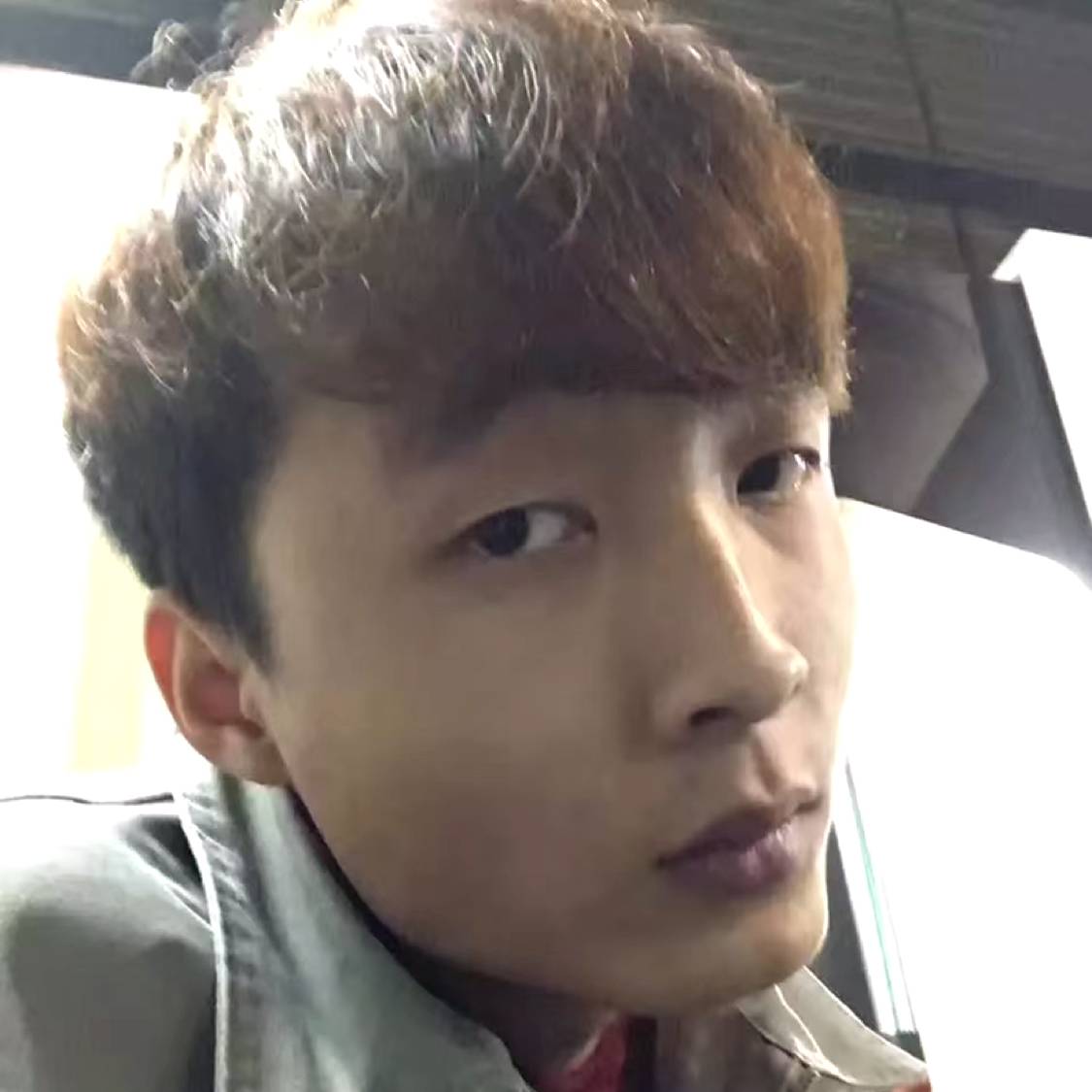 纯真放弃绿草的照片