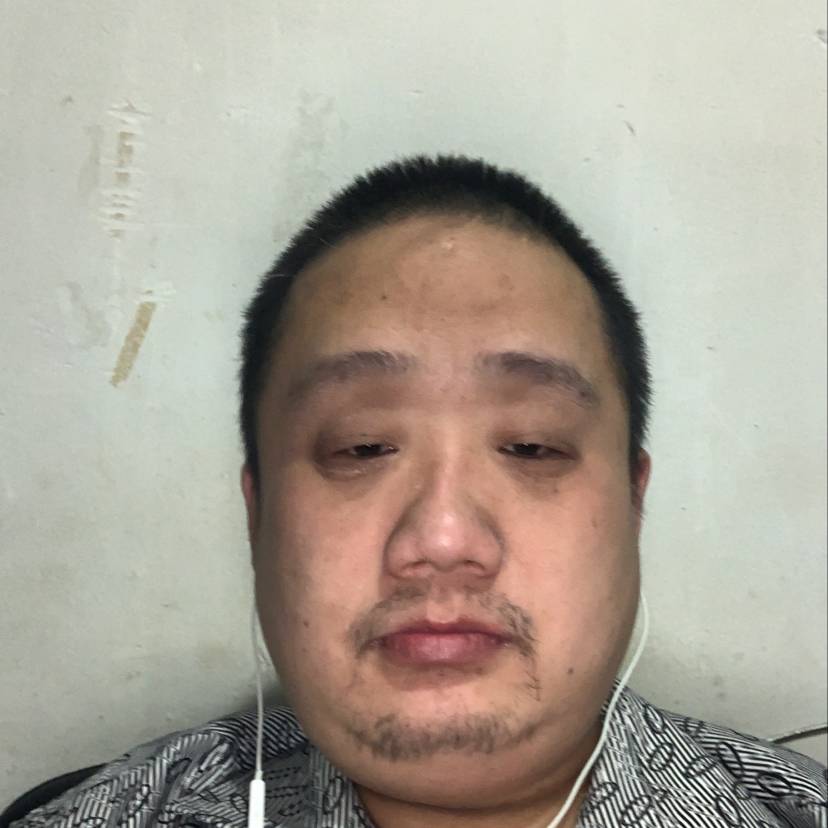 河马唯一的的照片