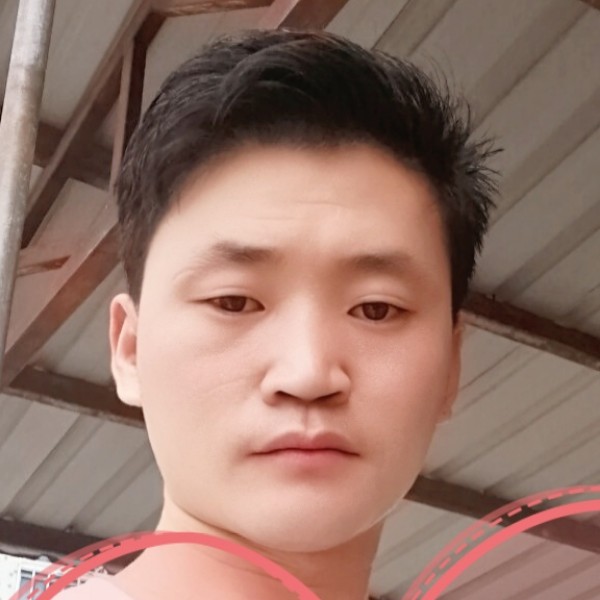 傻傻浅吻羽毛的照片