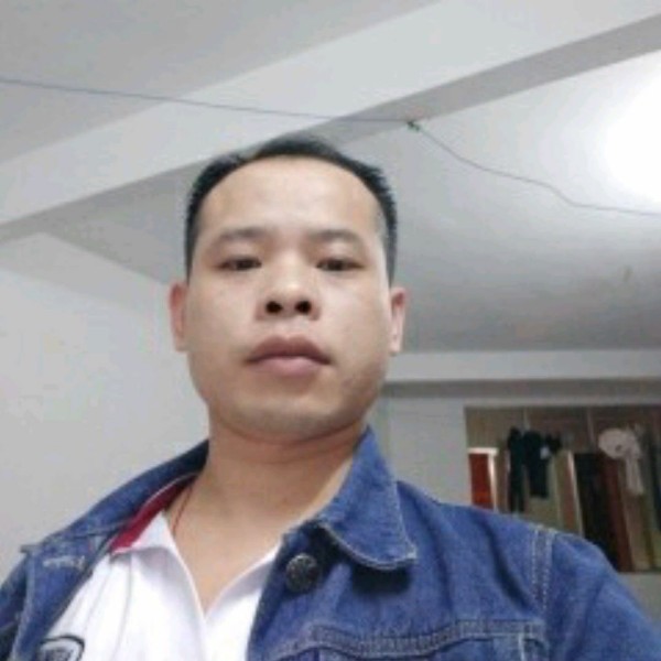 猎豹那稳重的照片