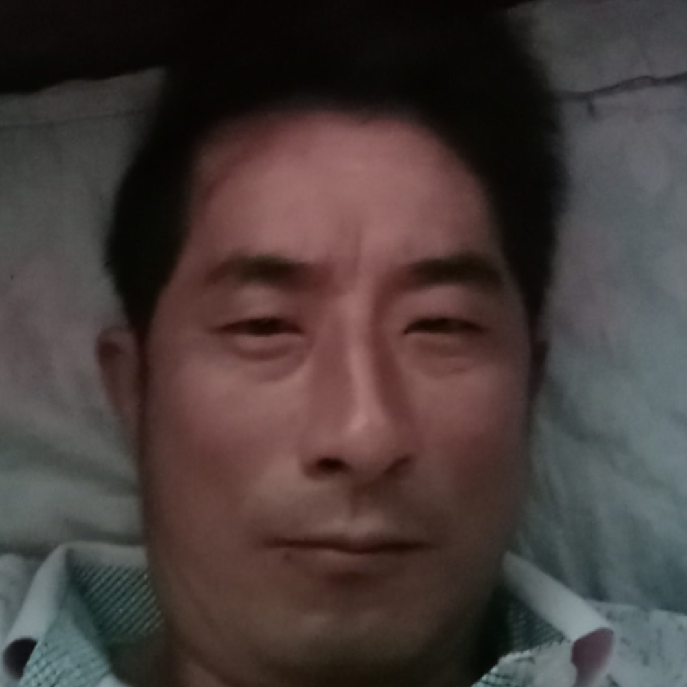 龙猫深拥含糊的照片