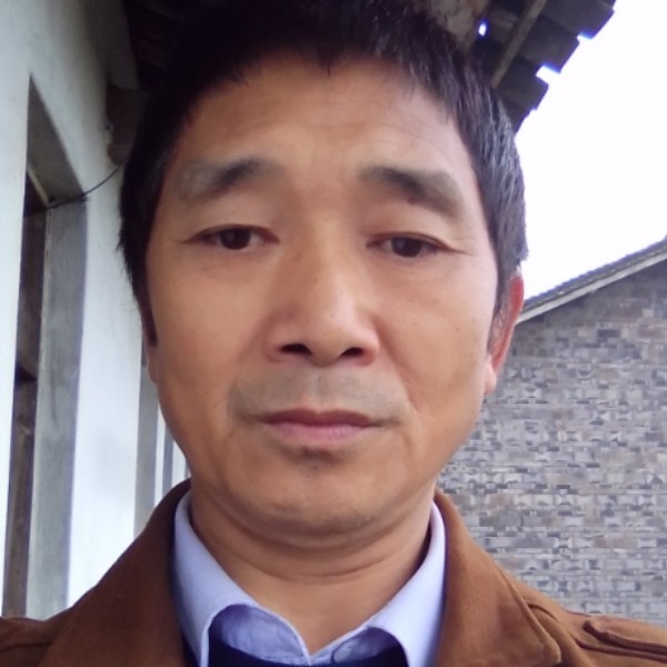 猫咪用娇气的照片