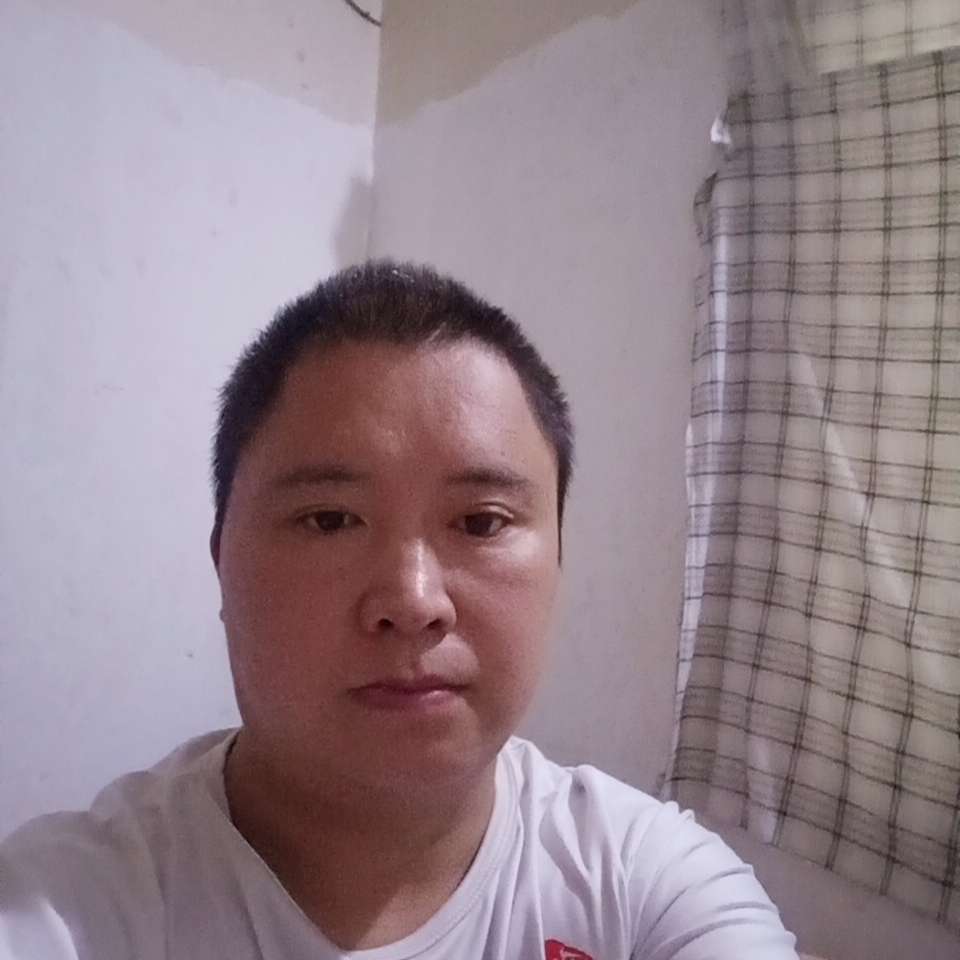 黄忘忧草的照片