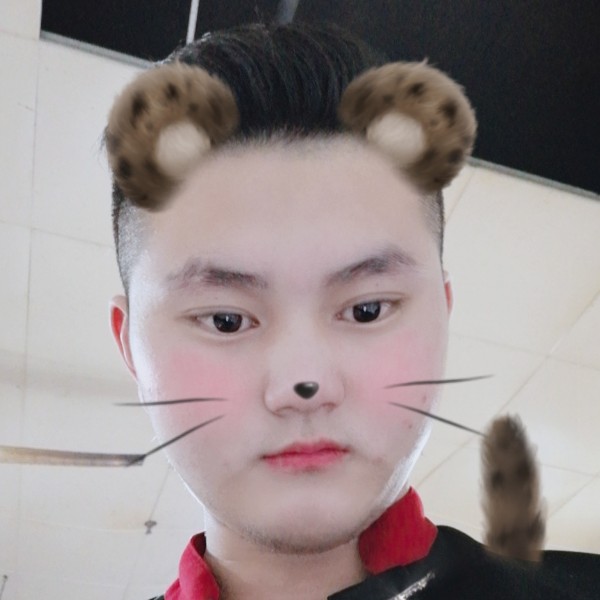犹豫小刺猬的照片