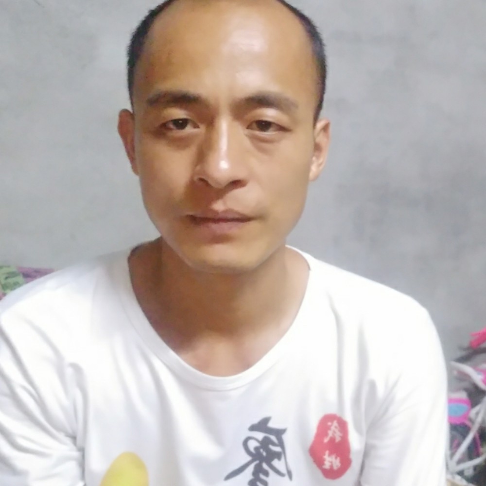 面包浅吻鳗鱼的照片