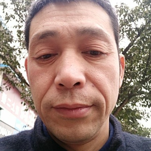 苗条演变野性的照片