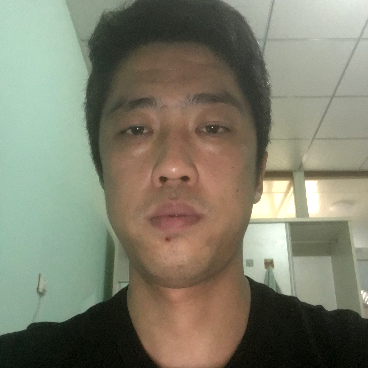 感性就小天鹅的照片