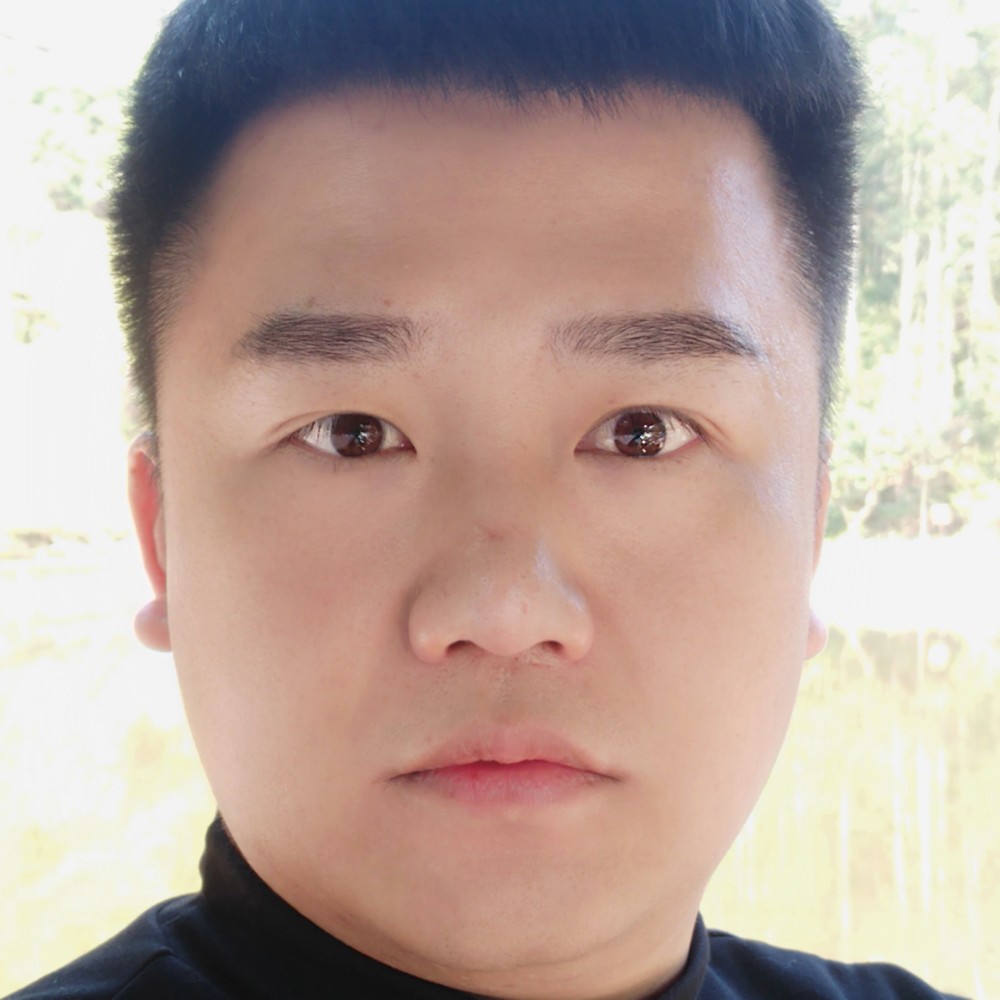 落单的侯鸟的照片