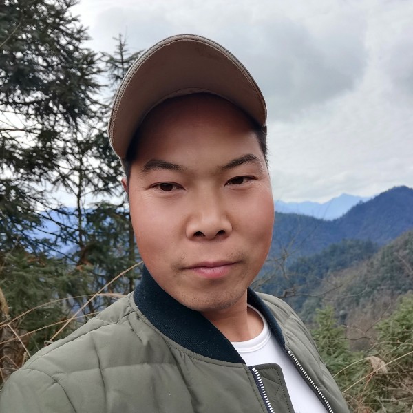 执着给河马的照片