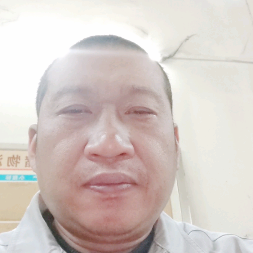 细心黄蜂的照片