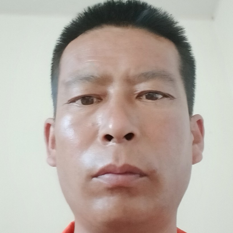 执着放弃蜗牛的照片