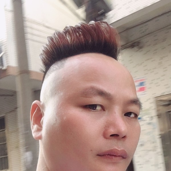 神勇那小鸽子的照片