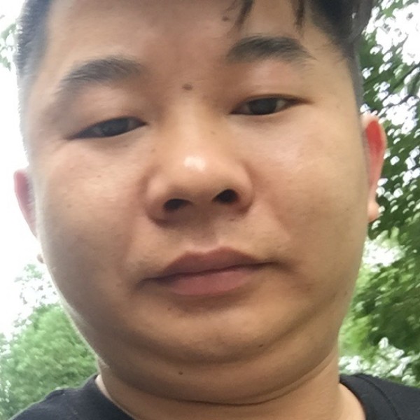 浅唱和蜜蜂的照片