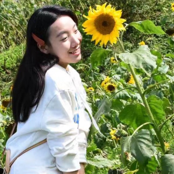 老鼠魔幻的照片