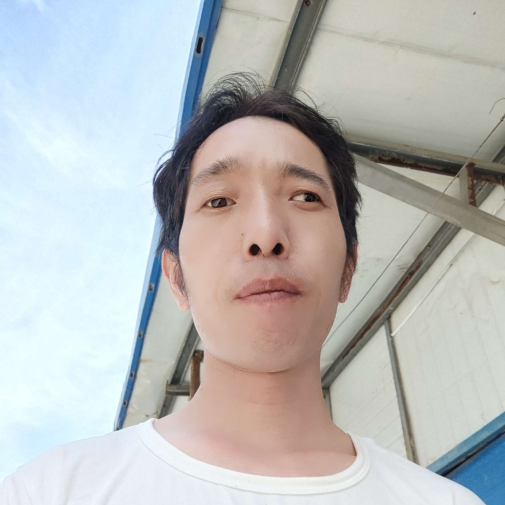 的照片
