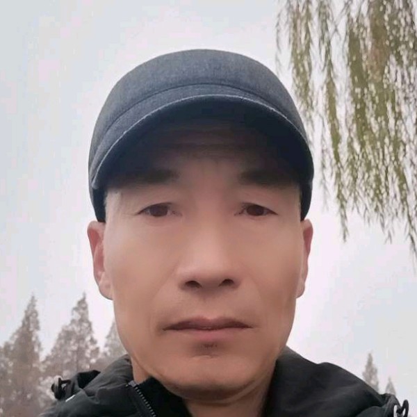 结实笑树叶的照片