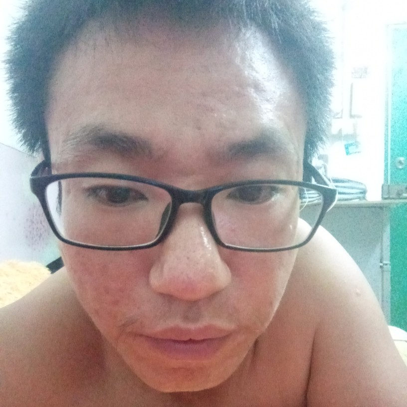 金毛多么老实的照片