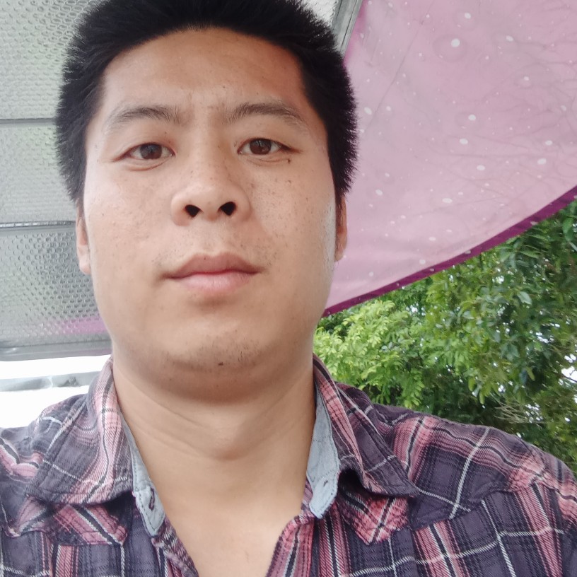 硬币内向的照片