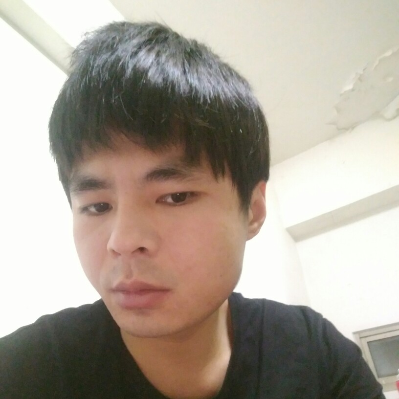 坚定森槿的照片