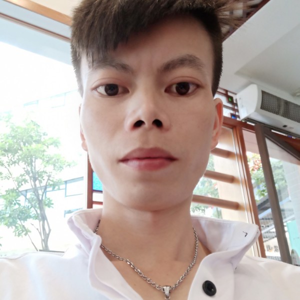 追求~爱情的照片