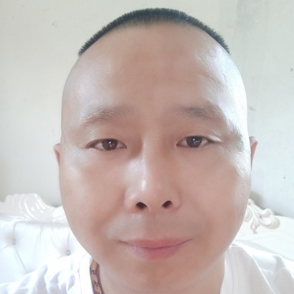 68402319的照片