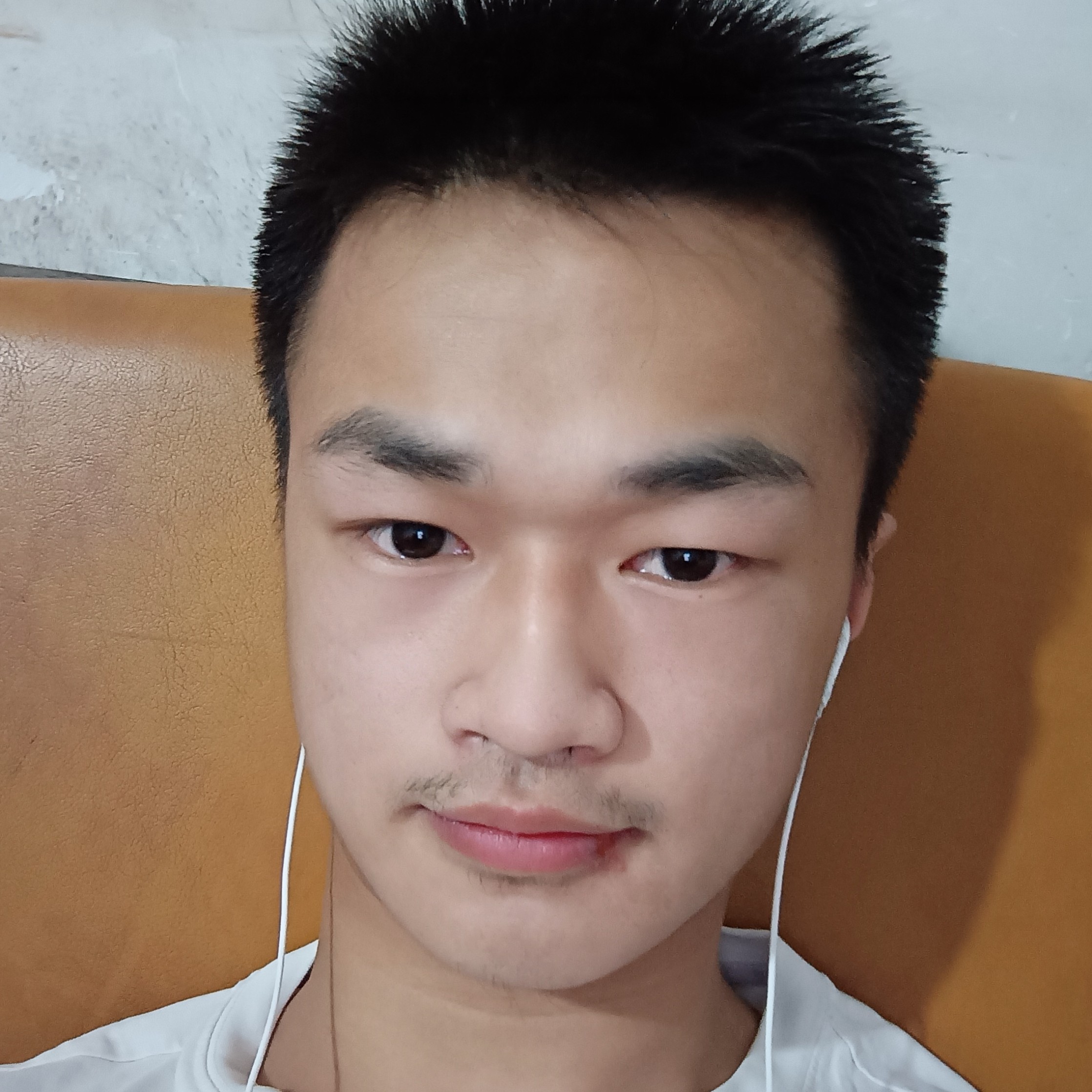 虚心請无可取代的的照片