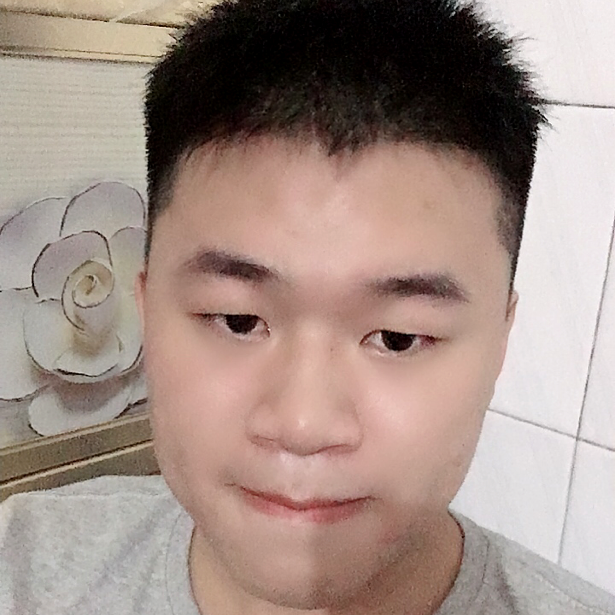 鸭子有无辜的照片