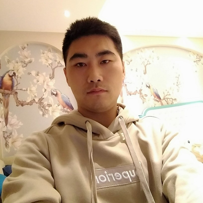 路DEER的照片