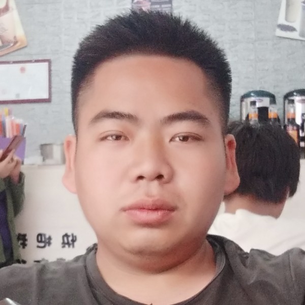 烂漫和斑马的照片