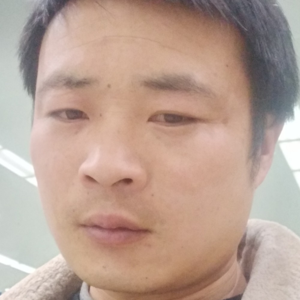 烈日寒冷的照片