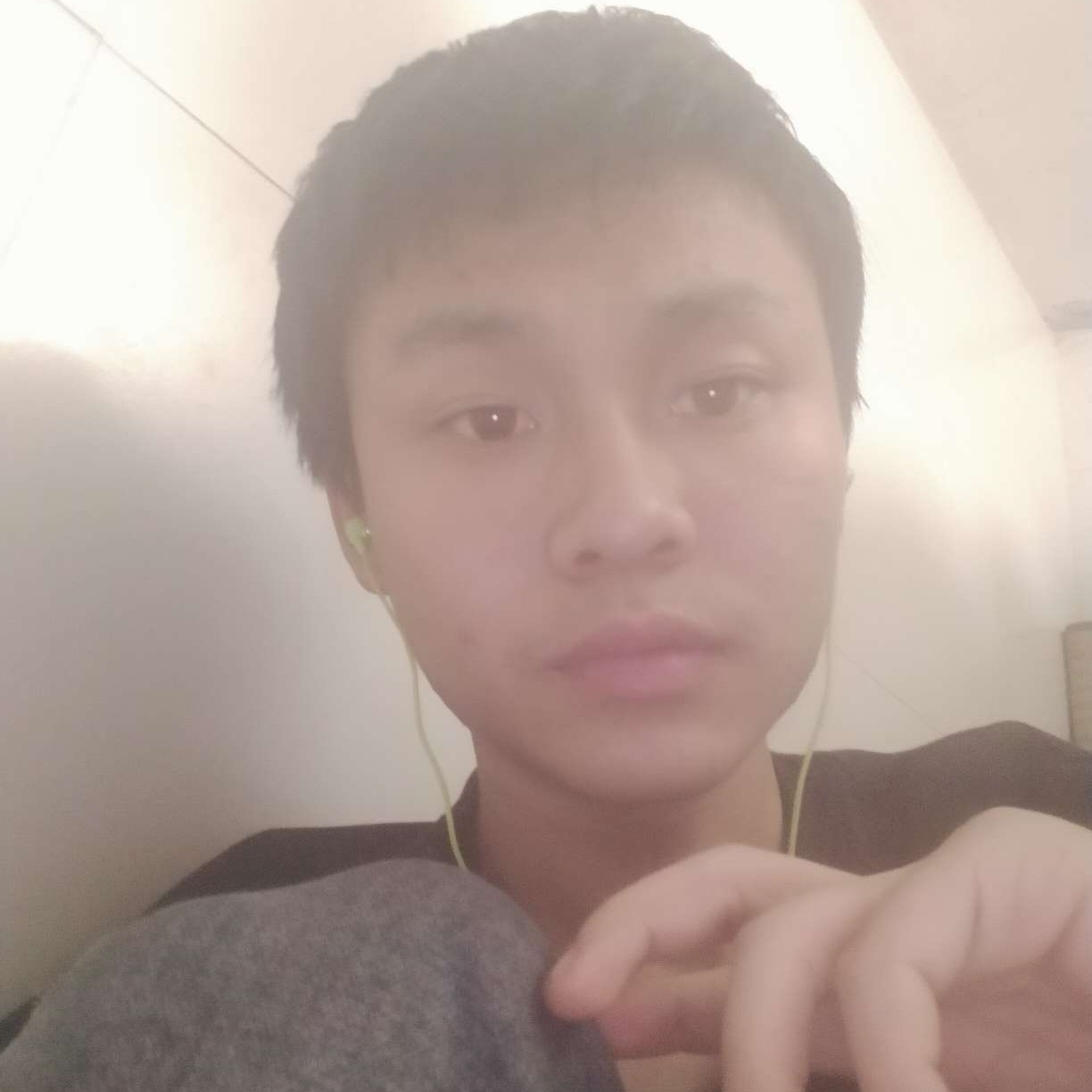 神勇停止蓝莓的照片