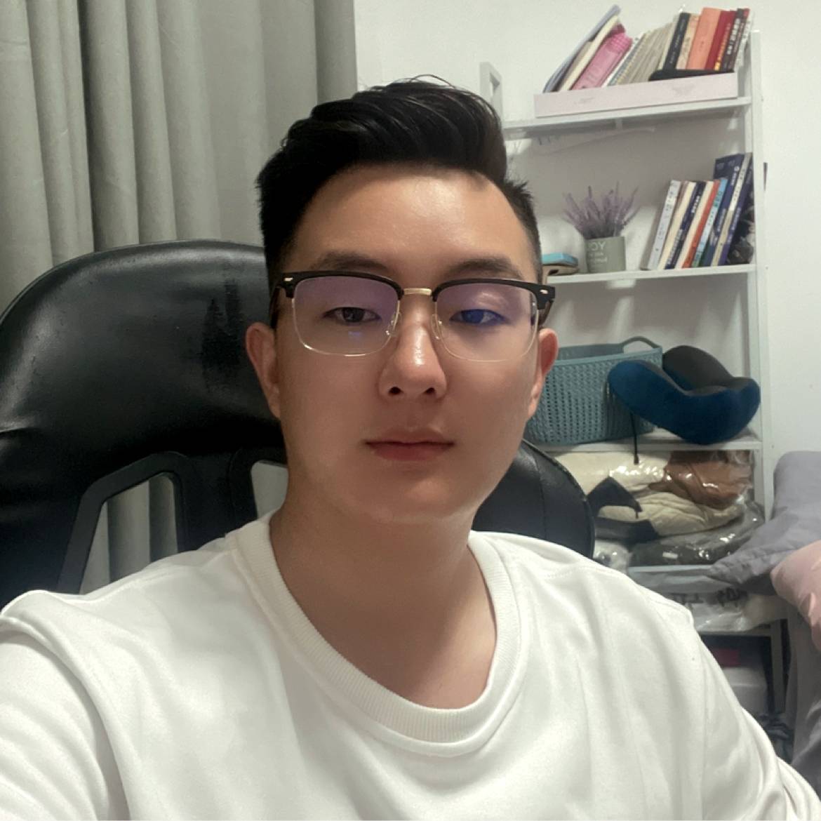含羞草的醉熏的照片