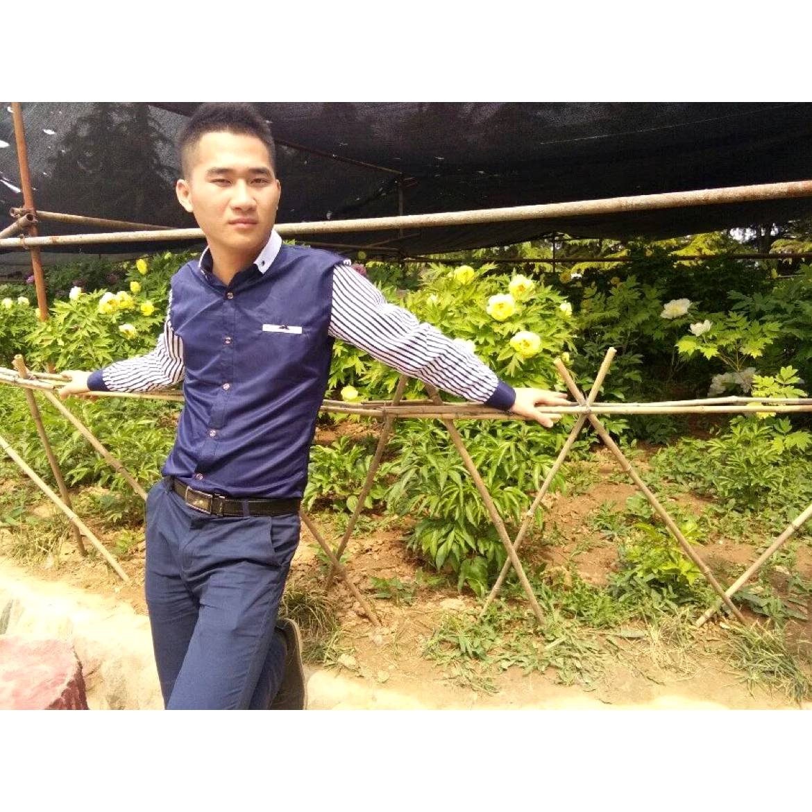 遗憾de梅林的照片