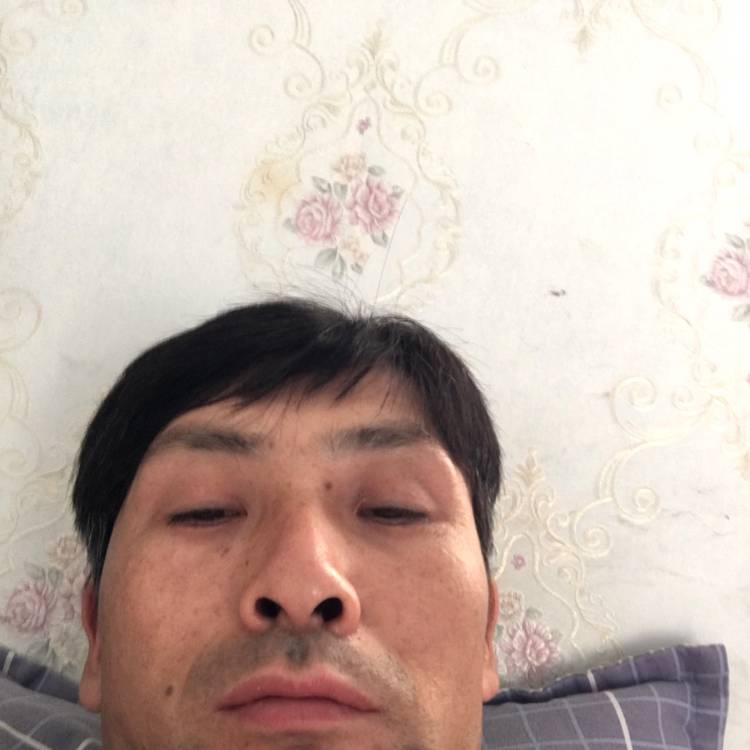 棒球欣慰的照片