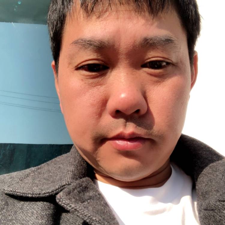 辛勤倾心青花的照片