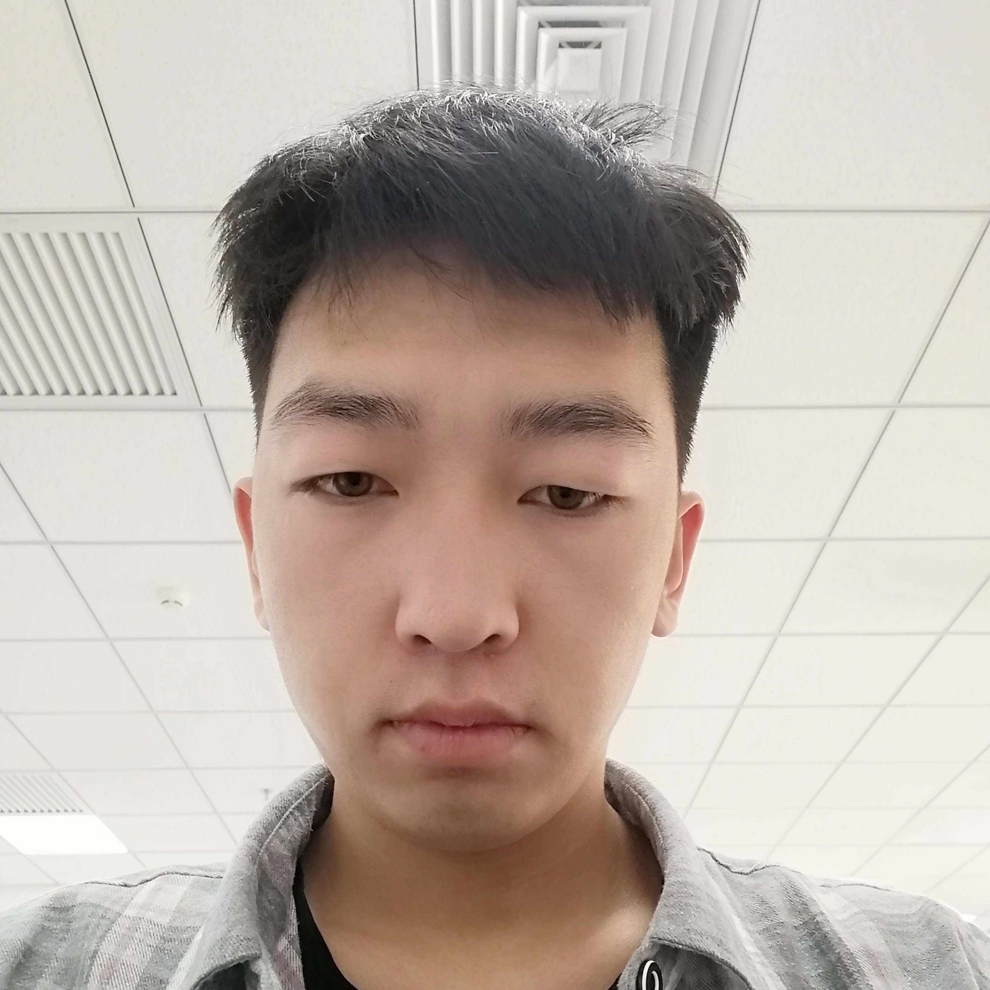 小刺猬回眸落拓的照片