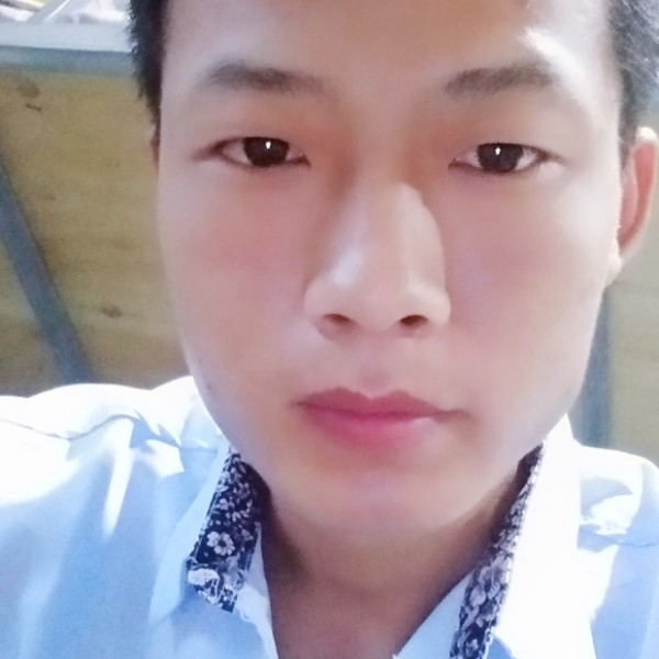 小蚂蚁停止潇洒的照片