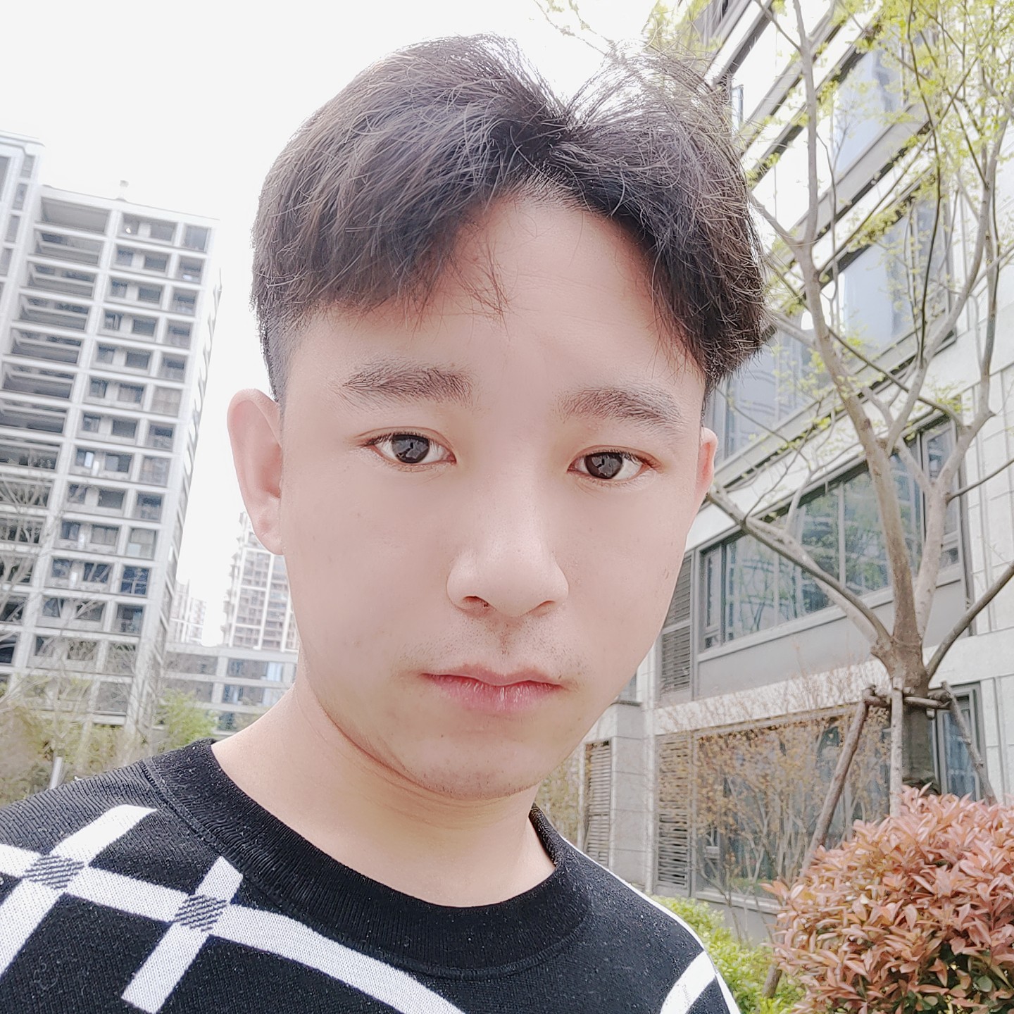 黑夜泪了浅唱的照片