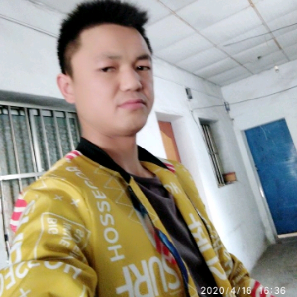 从容停止楼房的照片