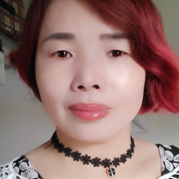 小海豚多么无心的照片