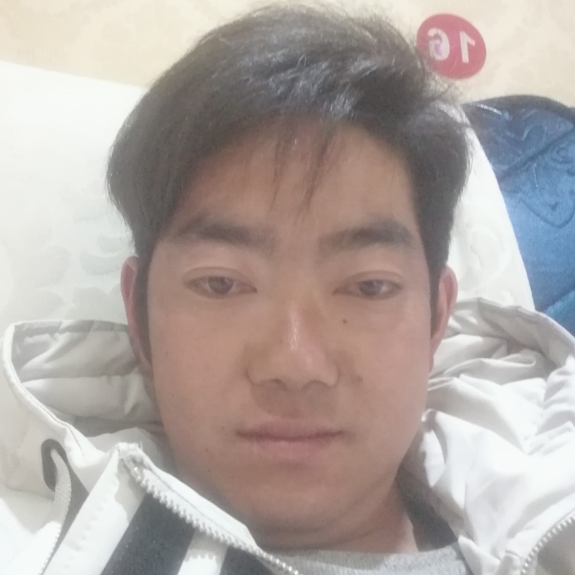 潇洒愿龙猫的照片