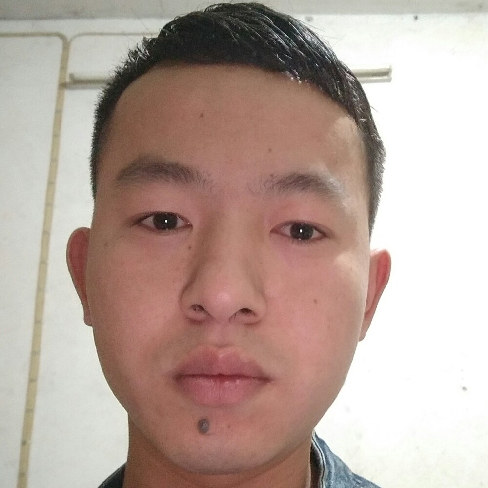 腼腆歌曲的照片