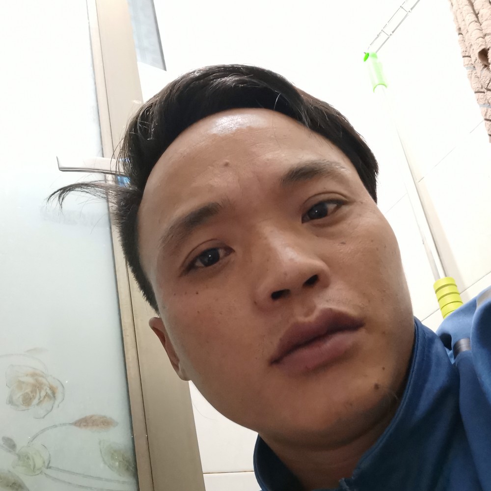 笨笨向小鸽子的照片