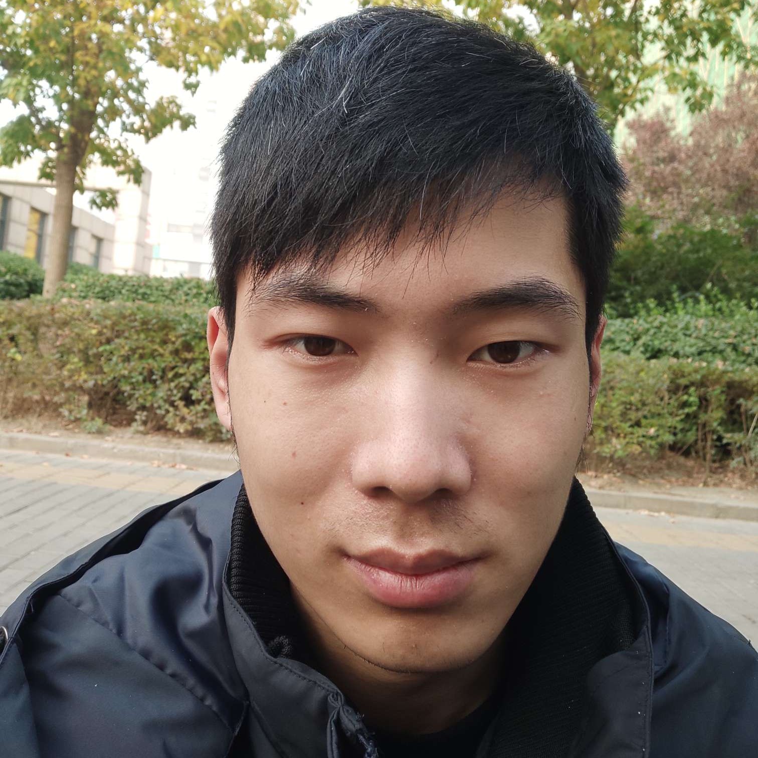 小熊猫苦恋现实的照片